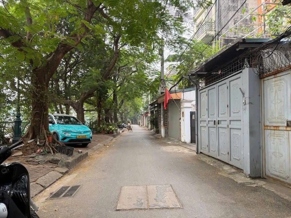 Mặt tiền kinh doanh đường Tam Trinh 60m² giá 12 tỷ - Sổ đỏ chính chủ, ô tô vào tận nơi!