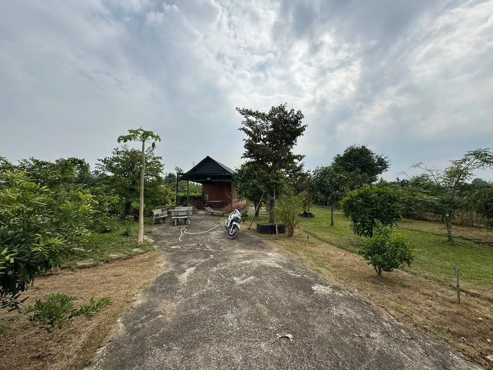 Farm đất vườn 963m² xã Thuận Thành, Cần Giuộc - Giá chỉ 2.9 tỷ!