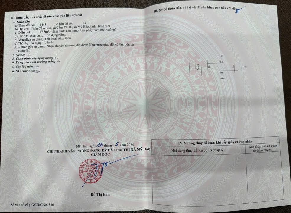 Đất nền Cẩm Xá, Mỹ Hào 262.5m² - Cơ hội đầu tư hấp dẫn!