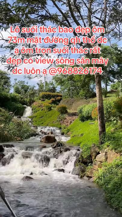 Đất Farm Tân Nghĩa Di Linh 1ha1 - Tiềm năng xây dựng nghỉ dưỡng lý tưởng