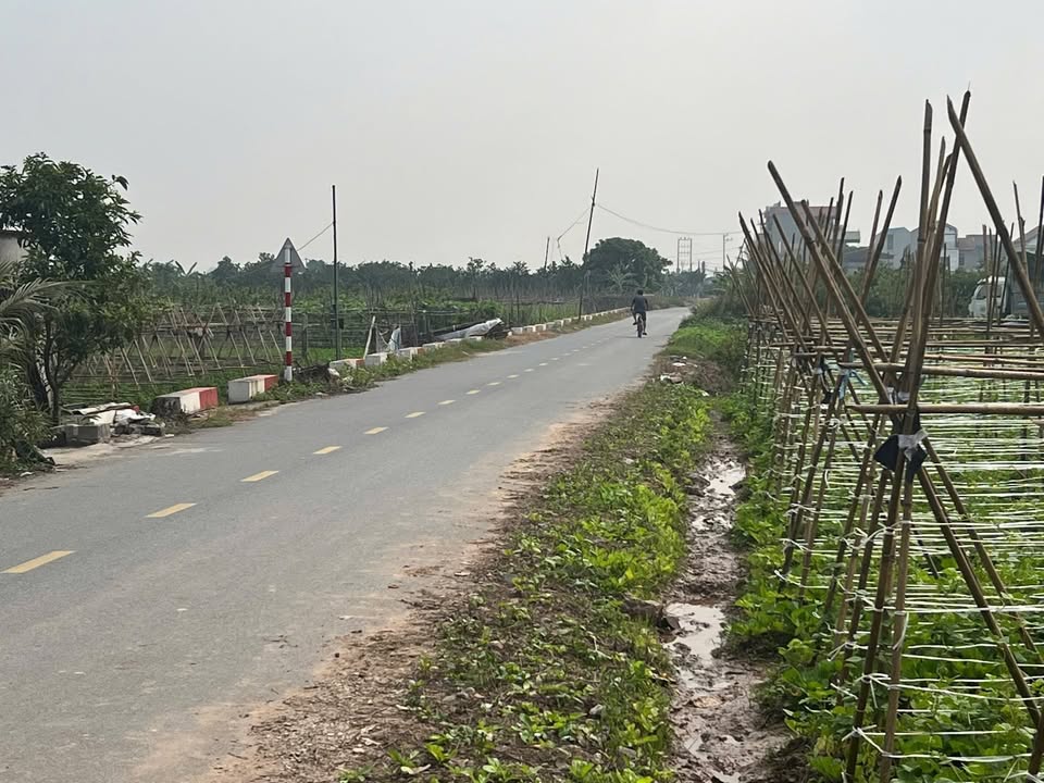 Đất nền Thôn Thanh Xá, xã Việt Yên 77m² chỉ 1 tỷ - Cơ hội đầu tư hiếm có!