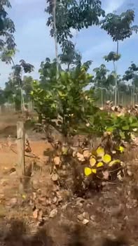 Đất 2 mặt tiền 330m² Thôn 7 Bình Thắng giá 1.35 tỷ - Tiềm năng đầu tư tốt!