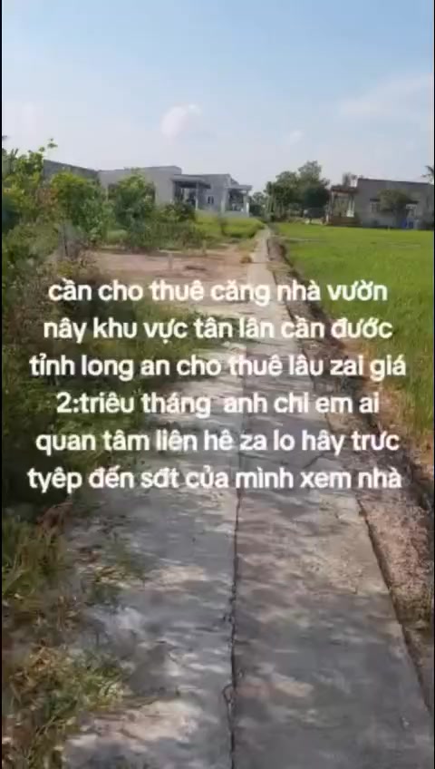 Nhà vườn cho thuê tại Tân Lân, Cần Đước - 1000m² chỉ 2 triệu/tháng!