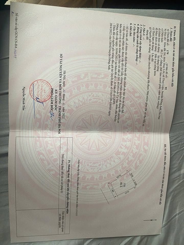 Đất nền Thụy Lâm, Đông Anh 80m² giá chỉ 60 triệu/m² - Cơ hội đầu tư tuyệt vời!