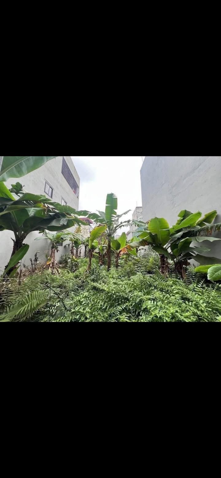 Đất thổ cư Phúc Lợi Long Biên 136m² giá 10.9 tỷ - Sổ đỏ chính chủ, ô tô đỗ cửa!