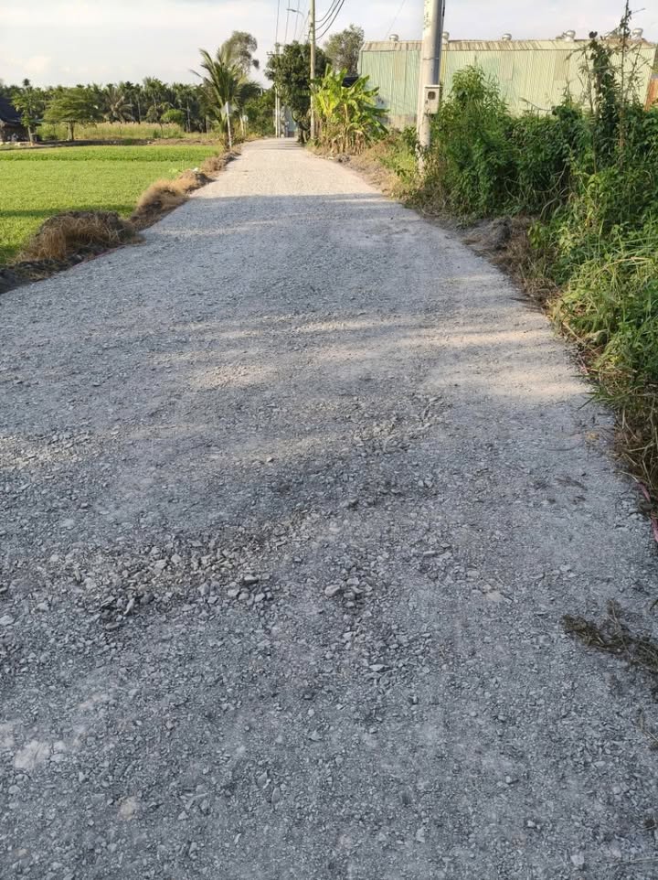 Đất thổ cư 100m² tại Bình Mỹ, Củ Chi giá 2.19 tỷ - Sổ hồng riêng, đường xe tải