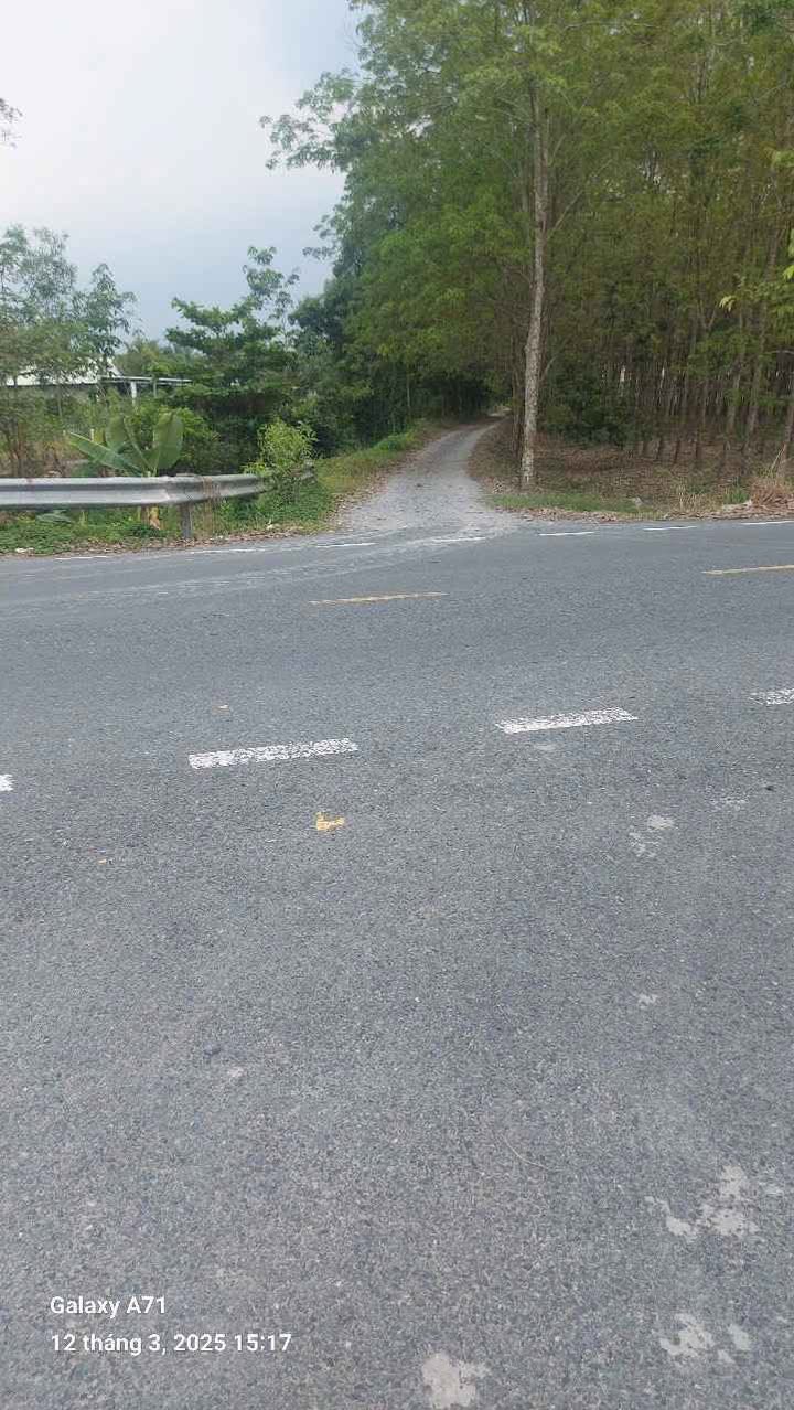 Đất vườn 1664m² góc 2 mặt tiền đường Bà Thiên, Củ Chi - Giảm giá mạnh 600 triệu!