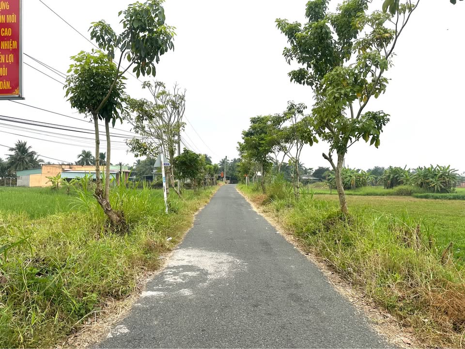 Đất thổ cư mặt tiền đường Lê Thị Trâm, Tân An, 200m² - Chính chủ bán gấp!