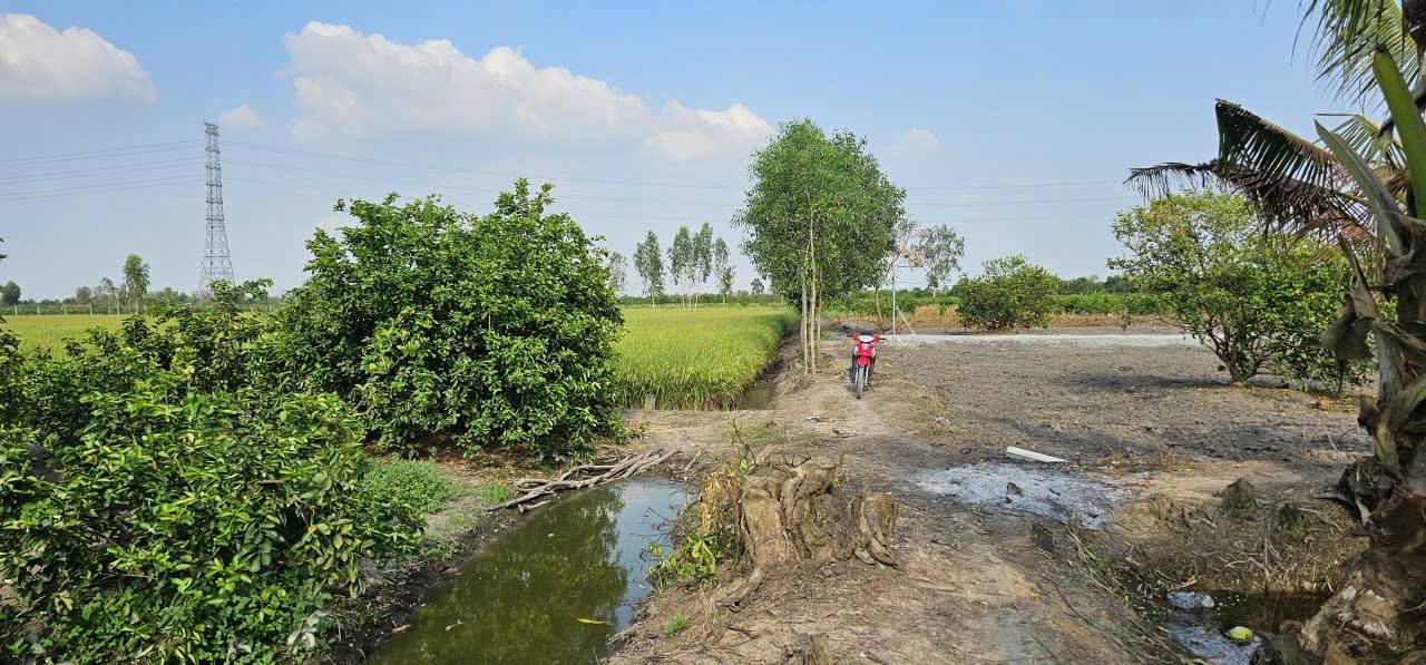 Đất vườn xã Bình Đức Bến Lức 7400m² giá 450 triệu - Cơ hội đầu tư tuyệt vời!