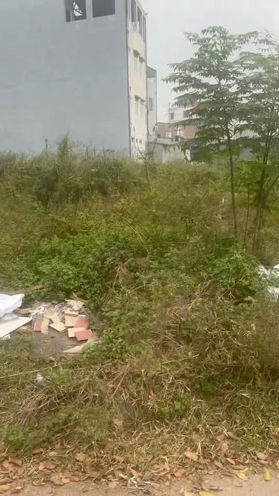 Đất nền Nguyễn Thế Nho, Việt Yên, Bắc Giang 100m² giá 3 tỷ - Cơ hội đầu tư không thể bỏ lỡ!