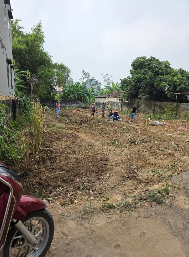 Đất nền TDP Kép, Việt Yên, Bắc Giang 100m² chỉ 800 triệu - Tiềm năng đầu tư lớn!