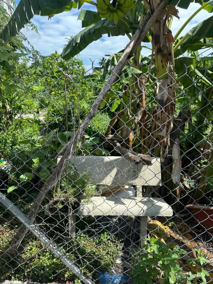 Đất thổ cư 2.500m² tại phường Thới An, quận 12 - Giá tốt, thương lượng!