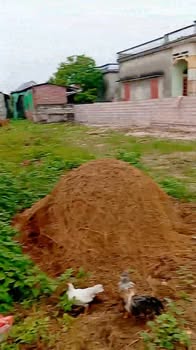 Đất nền Khu dân cư Tây Sơn, Hiệp An, Kinh Môn 220m² giá 6.7 tỷ - Pháp lý rõ ràng