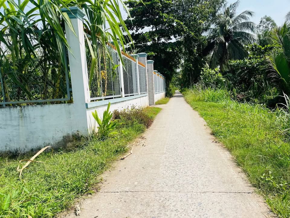 Đất nền mặt tiền lộ đal Hòa Lợi, 150m² giá 310 triệu - Cơ hội đầu tư sinh lời!