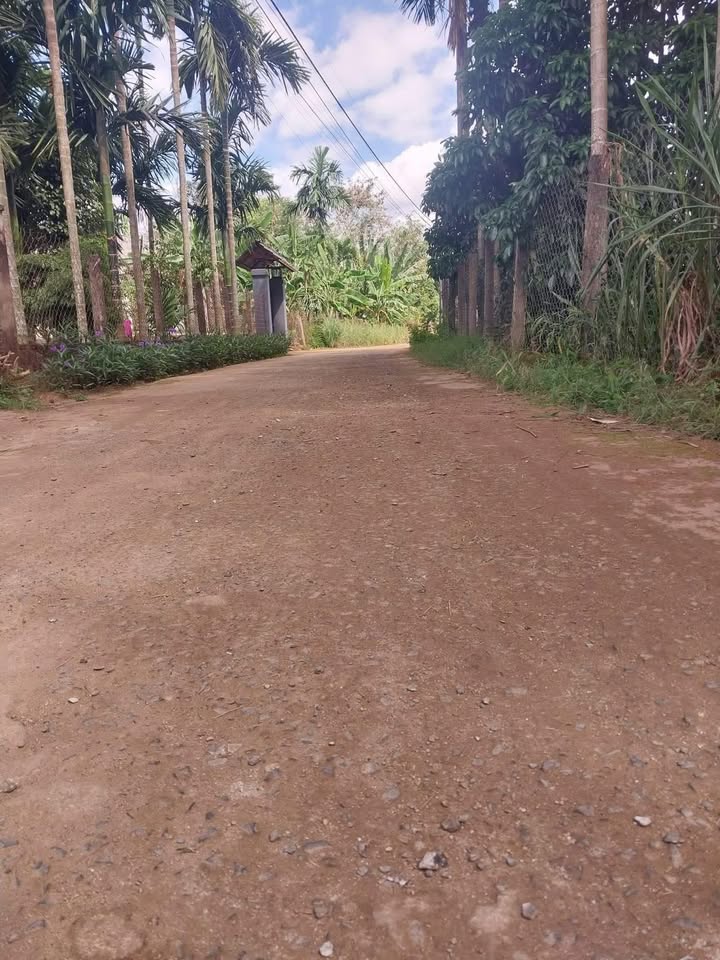 Lô đất thổ cư 60m² Xóm Chuối, xã Krông Ana, giá chỉ 420 triệu - Cơ hội đầu tư tuyệt vời!