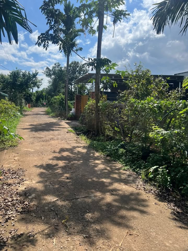 Đất nền Thôn 4 Hòa An 150m² giá chỉ 600 triệu - Sổ đỏ chính chủ