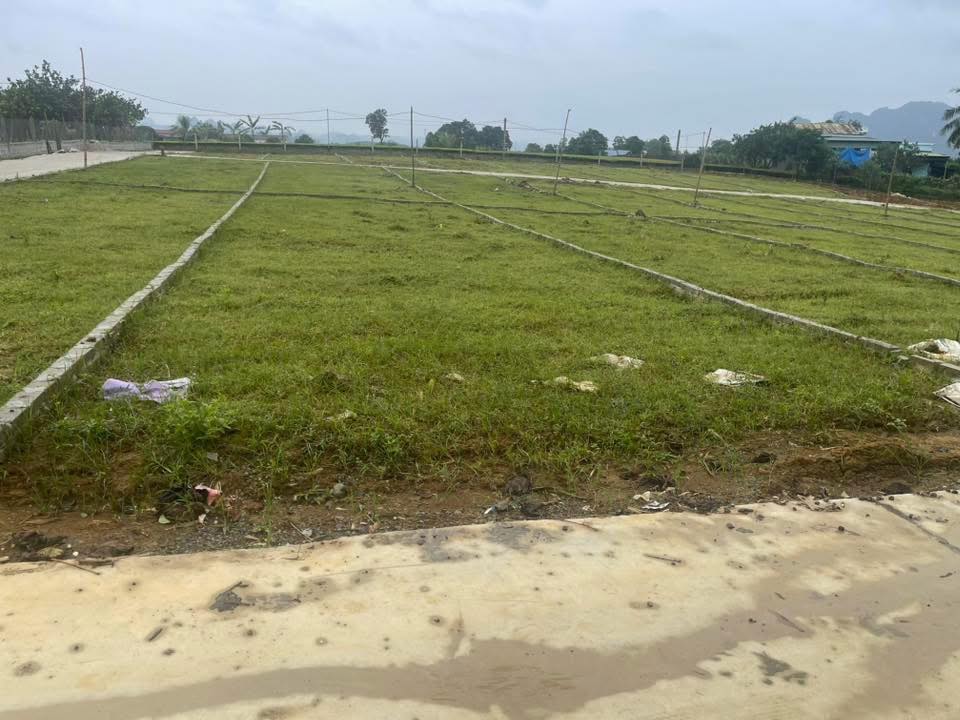 Đất thổ cư 117m² xã Phú Thành, Lạc Thủy - Giá chỉ 300 triệu, chính chủ bán!