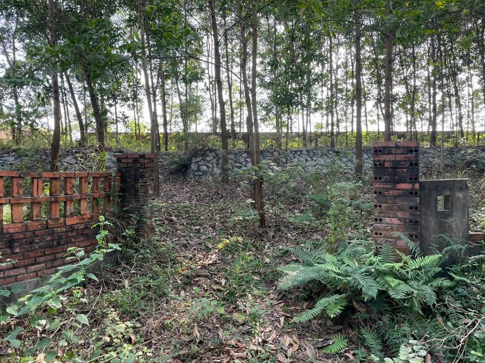 Đất nền Cư Yên Lương Sơn 610m² giá thỏa thuận - Tiềm năng phát triển cao