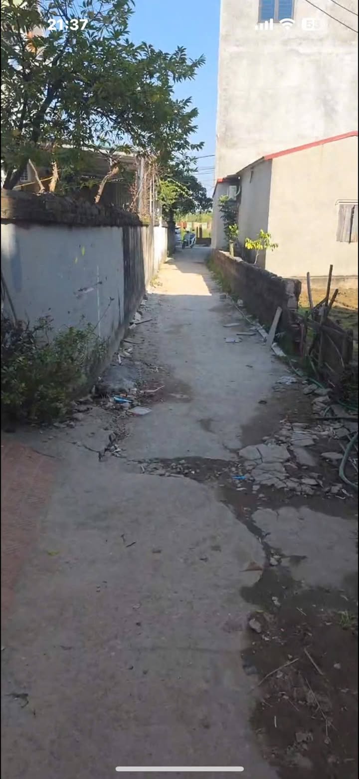 Đất nền Vân Tảo 86m² giá tốt - Đầu tư sinh lời ngay!