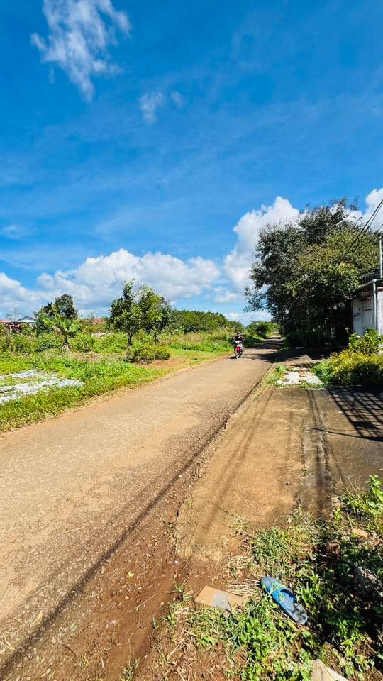 Đất hẻm 144 Âu Cơ, An Phú, Gia Lai 720m² giá 3.19 tỷ - Đầu tư sinh lời