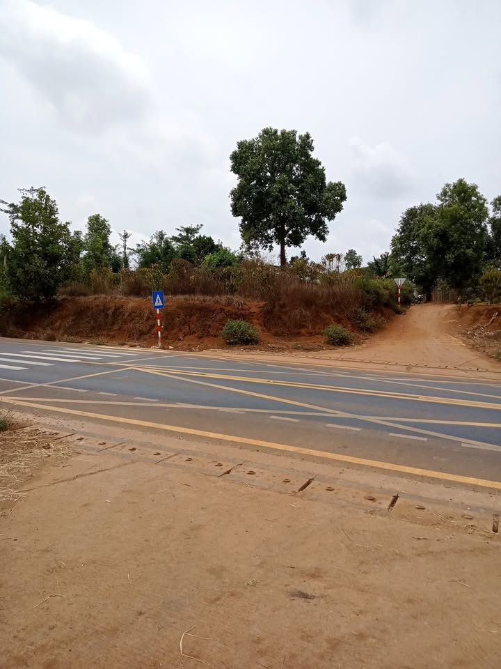 Lô đất mặt đường tránh QL19 Đak Đoa 484m² giá chỉ 1.54 tỷ - Đầu tư sinh lời nhanh!