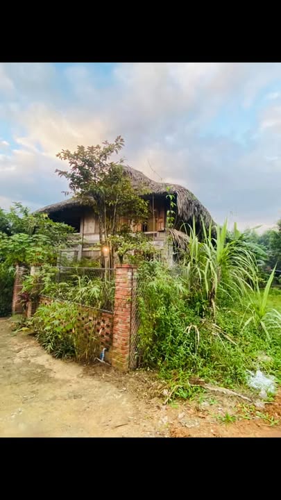 Nhà nguyên căn cho thuê tại Hòa Phong, Đà Nẵng, 140m² - Homestay view núi lý tưởng!