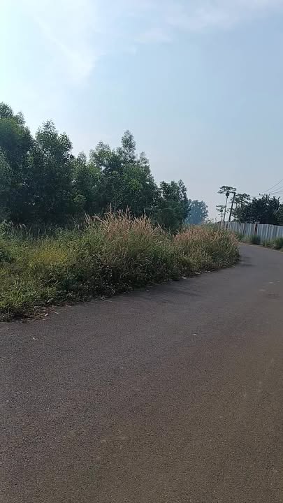 Đất thổ cư Dầu Giây 168m² giá 830 triệu - Đầu tư sinh lời ngay!