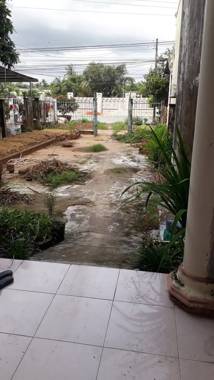 Nhà riêng Định Phú B, Tiểu Cần 315m² giá 2.6 tỷ - Sổ hồng chính chủ!