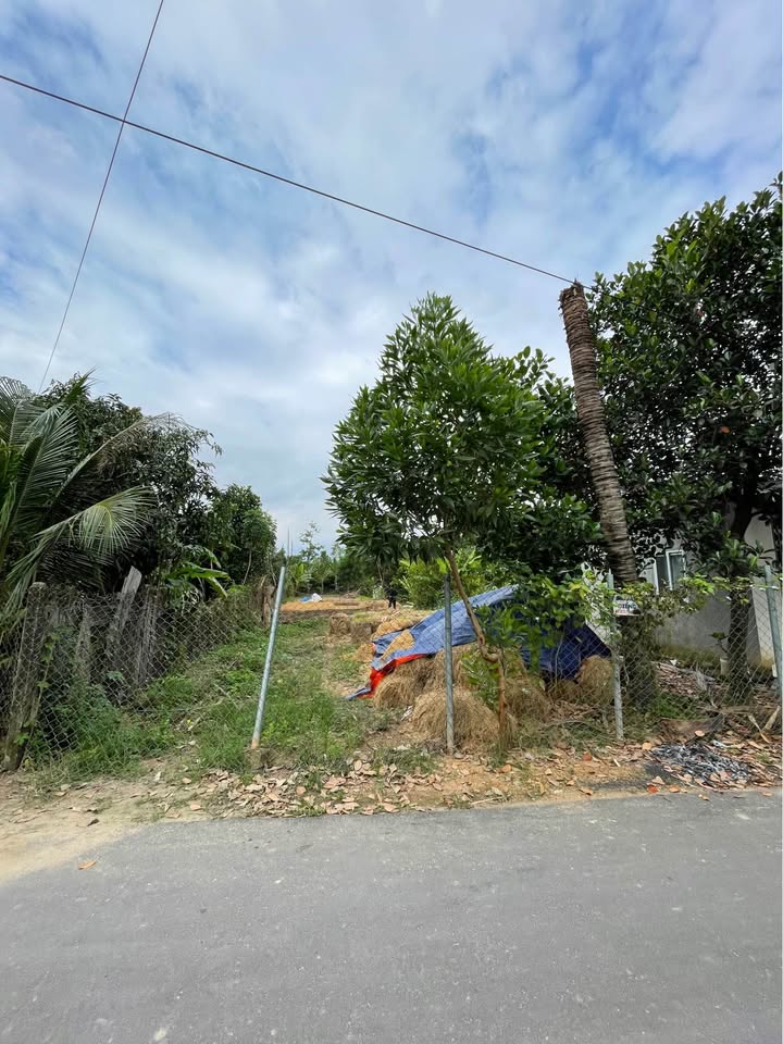 Đất nền Diên Hòa 518m² giá 2.7 tỷ - Cần bán gấp do lý do sức khỏe!