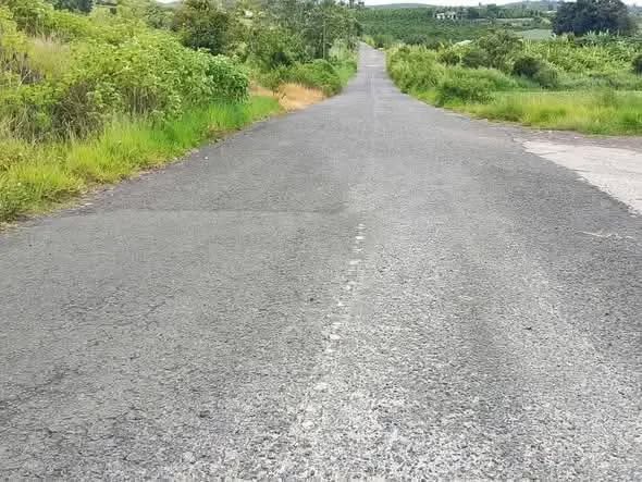 Đất nền tại xã Tân Hội, Lâm Đồng 2987m² giá 3.7 tỷ - Đầu tư nghỉ dưỡng tiềm năng!