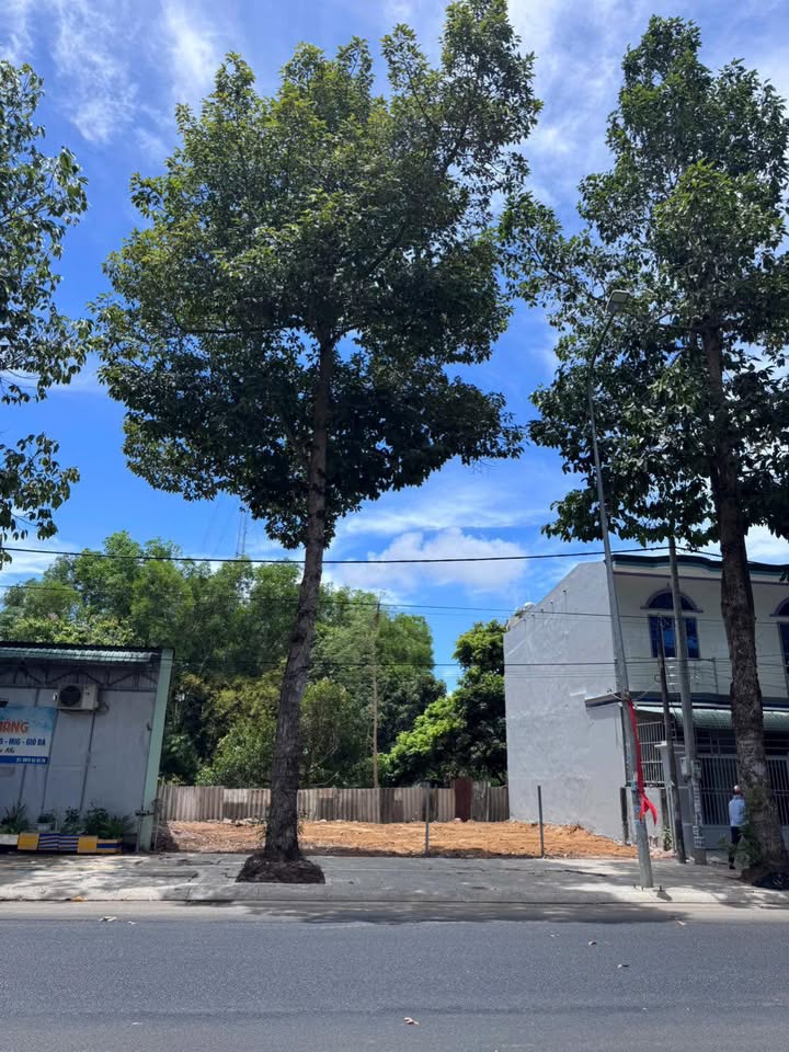 Mặt tiền kinh doanh phường Long Toàn 122m² giá 6.9 tỷ - Đầu tư sinh lời ngay!