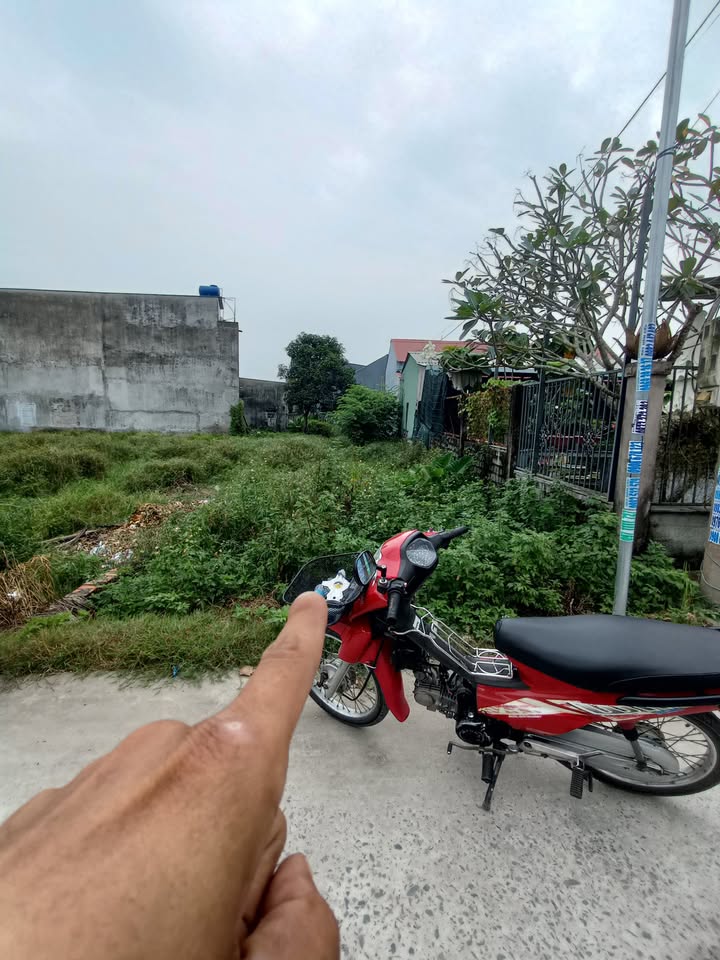 Đất thổ cư 140m² xã Mỹ Hạnh, Đức Hòa, Long An - Sổ hồng riêng, giá 1,5 tỷ!