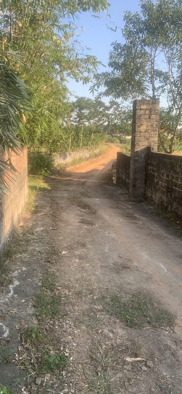 Đất nền Thôn Quyền, Ngọc Sơn, Hiệp Hòa 110m² giá chỉ 500 triệu - Đầu tư sinh lời!