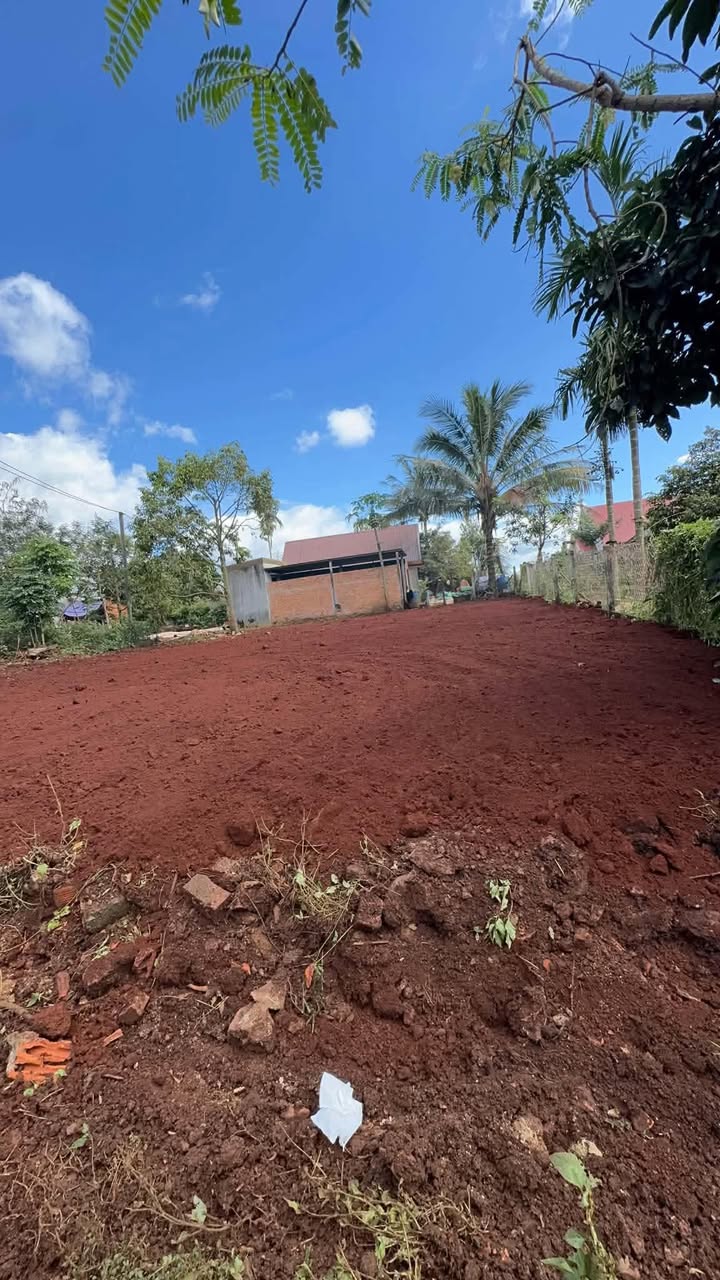 Đất thổ cư An Lạc - TX Buôn Hồ 308m² giá 1.6 tỷ - Lô góc đẹp, đầu tư sinh lời!