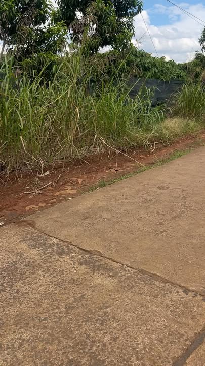 Farm 60000m² Ea Blang Buôn Hồ giá 6.3 tỷ - Sẵn sàng kinh doanh!