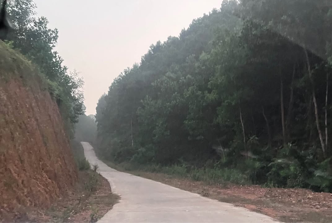 Đất nông nghiệp tại xã Bình Thành, Định Hóa, Thái Nguyên 4000m² - Giá chỉ 395 triệu