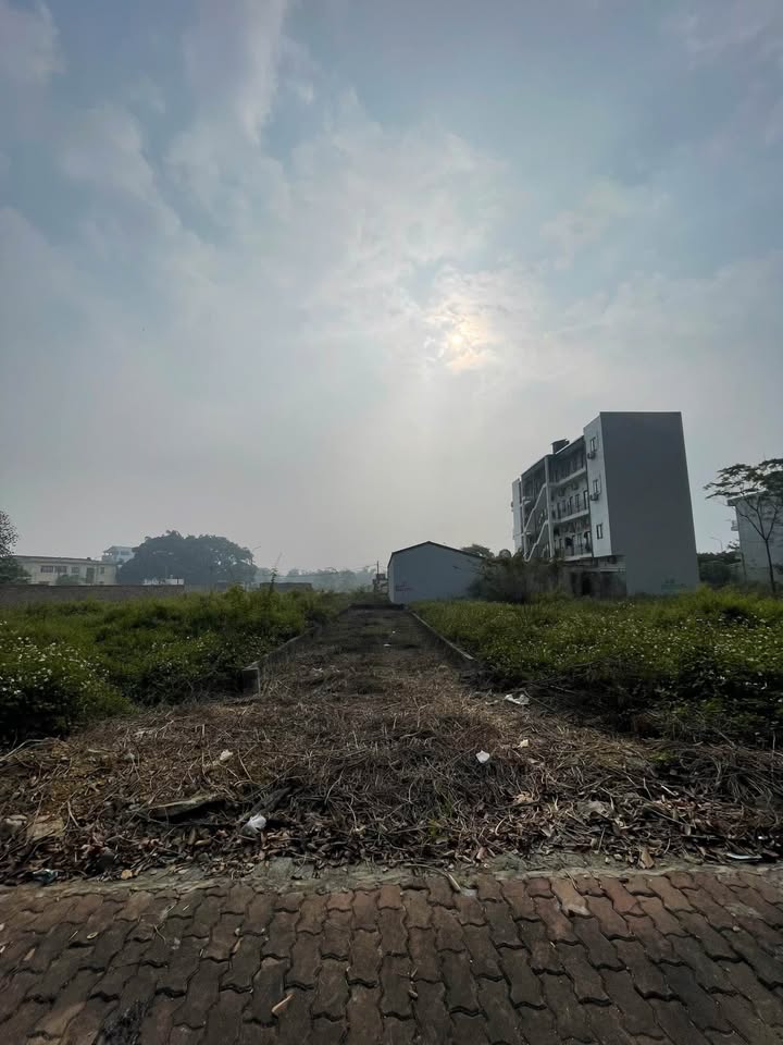 Đất nền Thạch Thất 100m² giá thỏa thuận - Vị trí kinh doanh đắc địa!