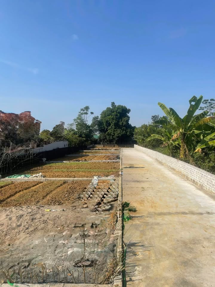 Đất nền Phú Cát, Quốc Oai 100m² giá 2 tỷ - Sổ đỏ chính chủ, nhanh tay chốt ngay!