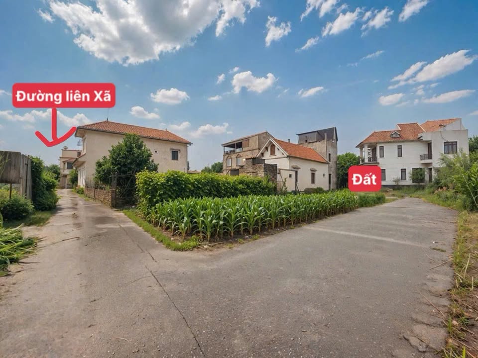 Đất nền đẹp tại Chương Lộc, Thường Tín - 44.8m² giá 2.55 tỷ - Ô tô đỗ cửa!