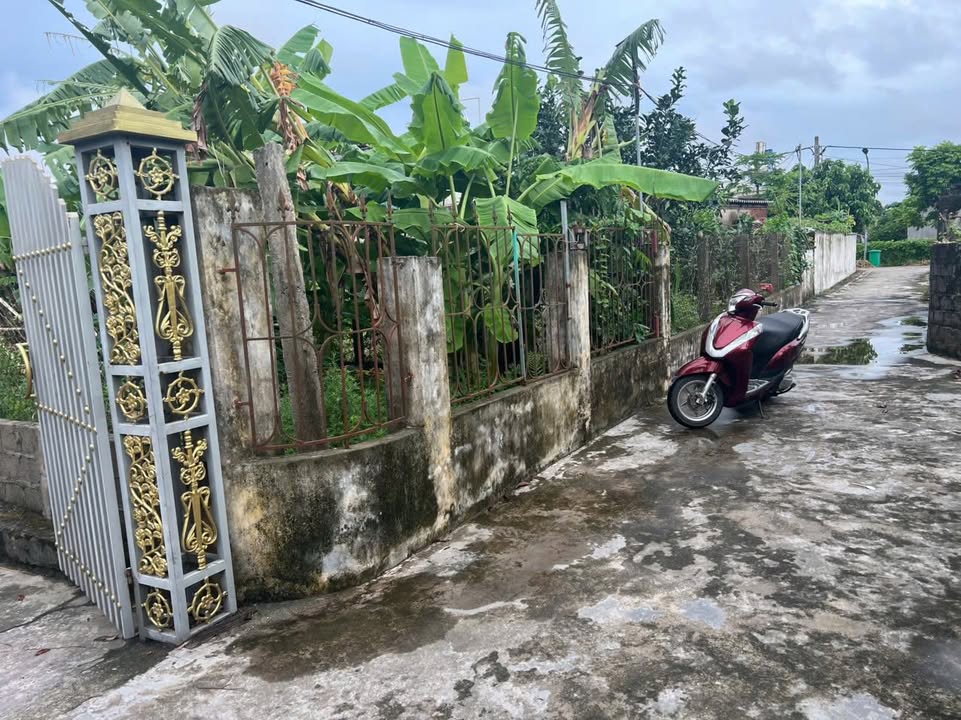 Lô đất 154m² mặt tiền 5m tại xóm Dũng Tiến, Hải Hưng chỉ 500 triệu - Cơ hội đầu tư hấp dẫn!