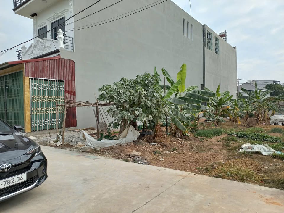 Đất đấu giá thôn Đông, An Hà, Lạng Giang 80m² giá chỉ 1 tỷ - Sổ đỏ chính chủ!