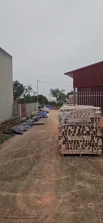 Đất nền Đại Lâm Lạng Giang 200m² giá chỉ 600 triệu - Đầu tư sinh lời ngay!