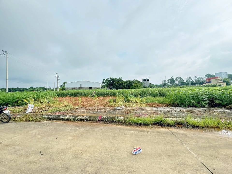 Đất nền Tiên Kiên Lâm Thao 100m² giá 800 triệu - Cơ hội đầu tư hấp dẫn!