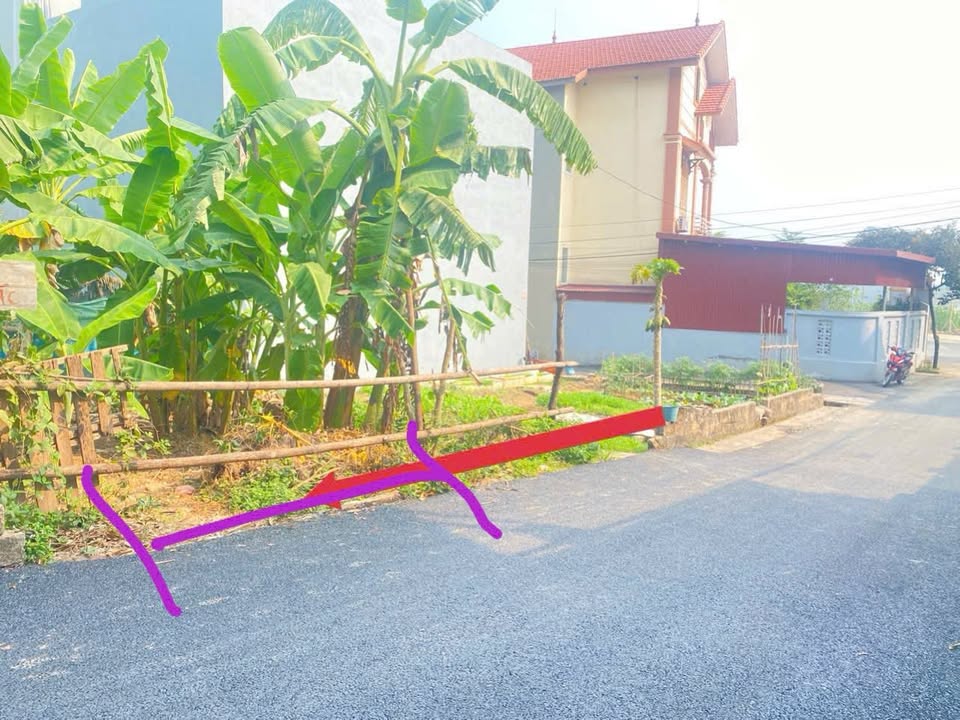 Đất nền Thanh Miếu Việt Trì 88m² giá 2 tỷ - Đầu tư sinh lời ngay!