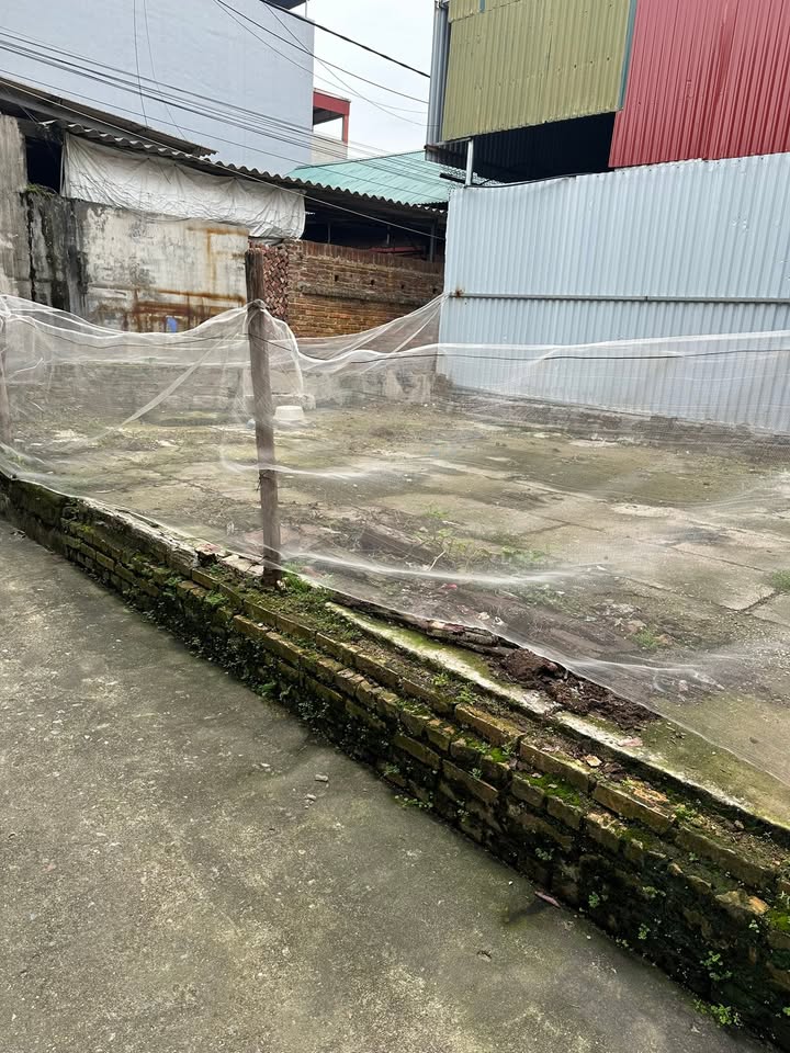 Đất nền lô góc tại thị trấn Chờ - Yên Phong 60m² chỉ 1 tỷ - Cơ hội đầu tư hấp dẫn!