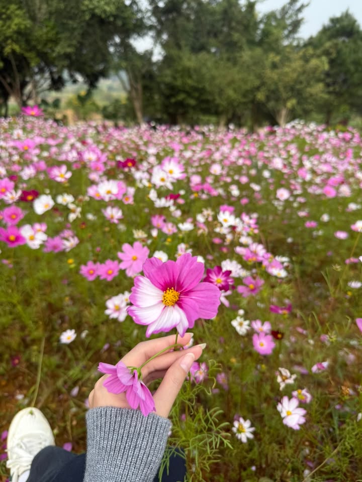 Biệt thự Yên Bài, Ba Vì 370m² giá 4 tỷ - Sở hữu ngay vị trí đắc địa!