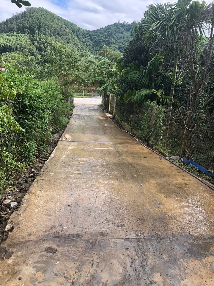 Nhà vườn đẹp tại phường Hòa Khánh, Đà Nẵng 500m² - Giá bán 850 triệu, cơ hội đầu tư tuyệt vời!