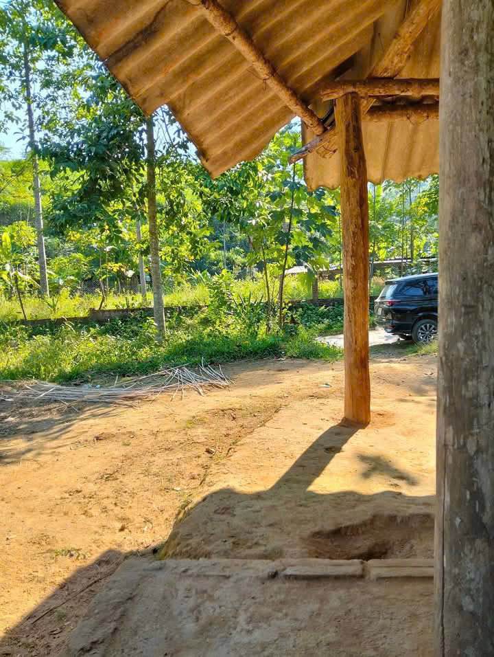 Đất nền Xuân Đài, Tân Sơn, Phú Thọ 130m² giá chỉ 130 triệu - Cơ hội đầu tư hấp dẫn!