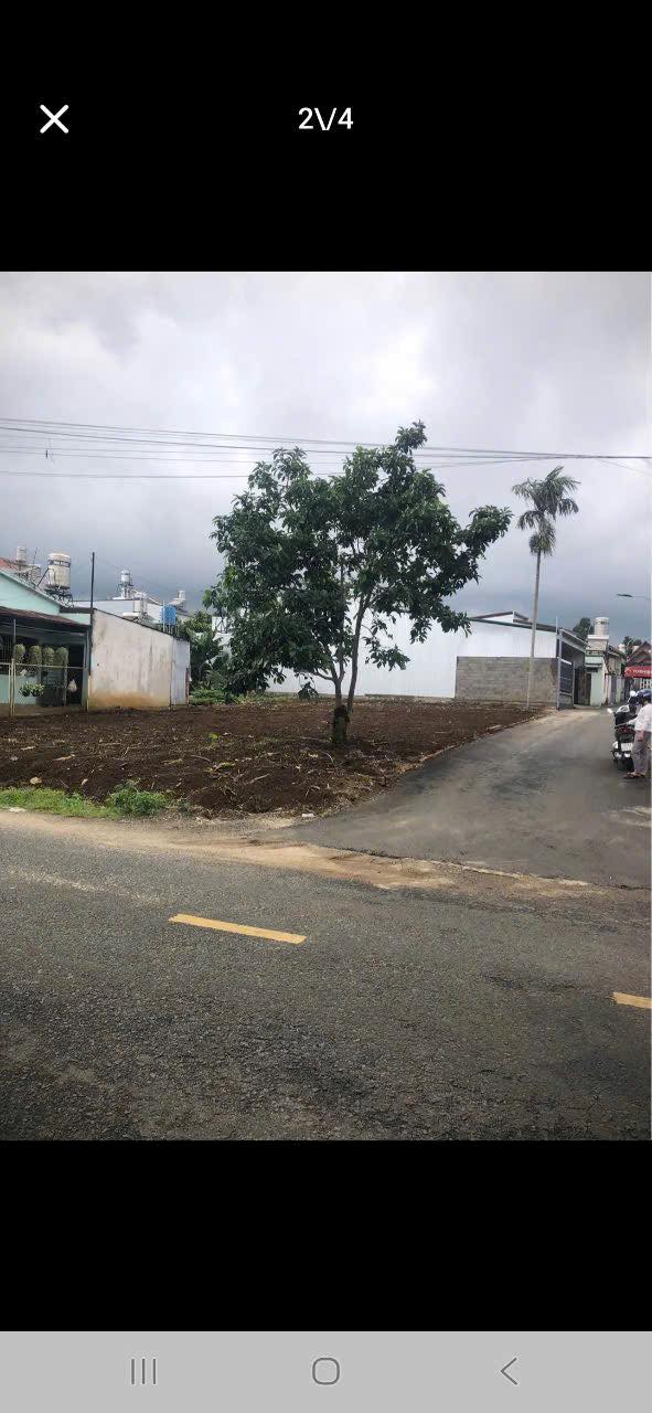 Đất 2 mặt đường Nguyễn Hữu Chỉnh, Bảo Lộc 318m² - Tiềm năng đầu tư hấp dẫn!