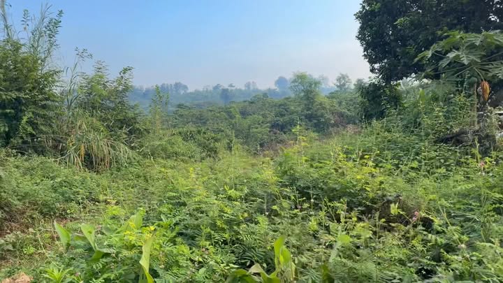 Đất nền 520m² tại xã Nam Xuân, Krông Nô, Đắk Nông - Giá chỉ 5.98 tỷ, thương lượng tốt!